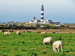 129 ILE DE OUESSANT_000032